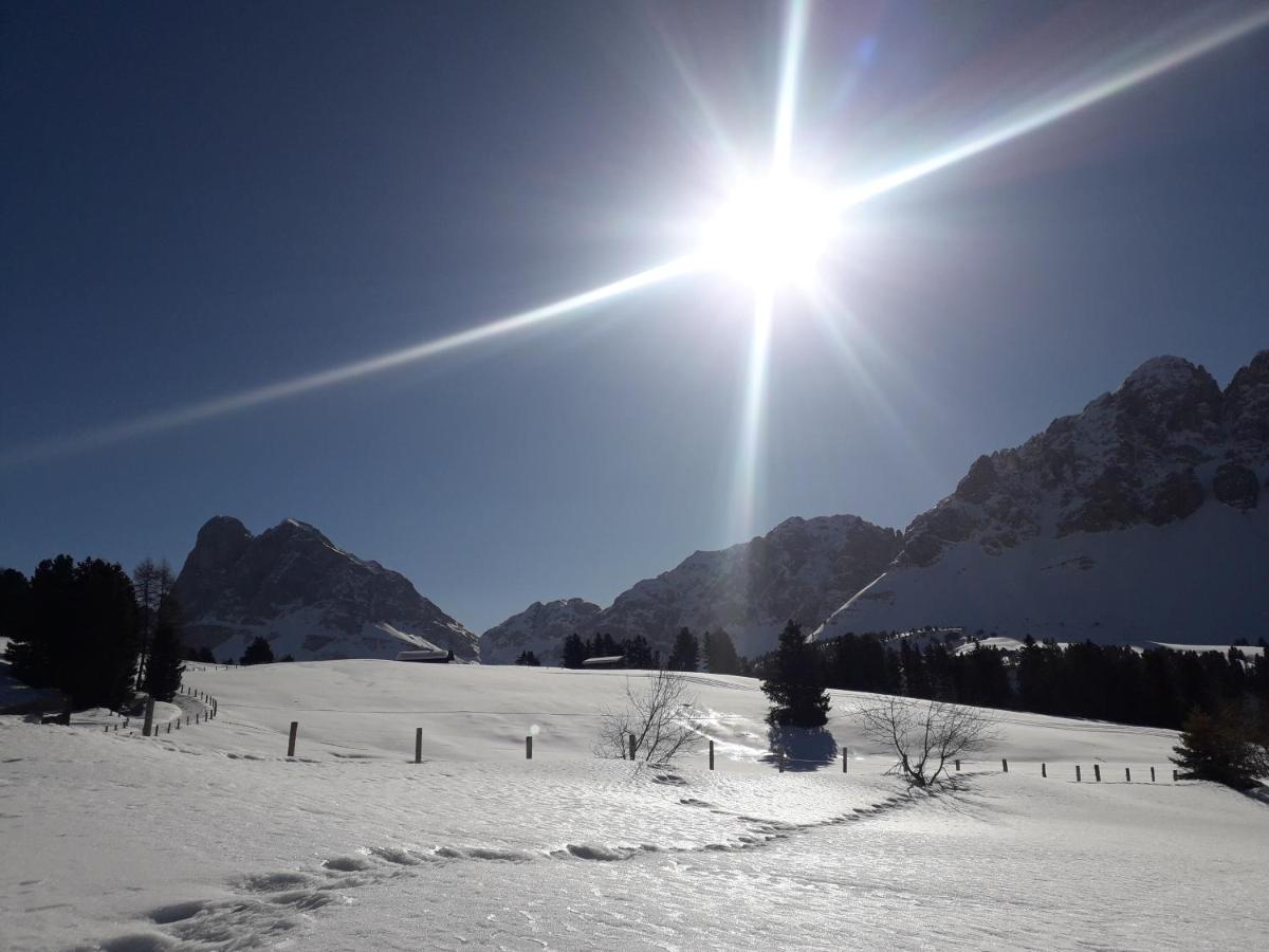 بريسّانوني Mountain Residence Alpenhof - Company Hotel Alpenhof Kg Sas Der Gasser Renate المظهر الخارجي الصورة