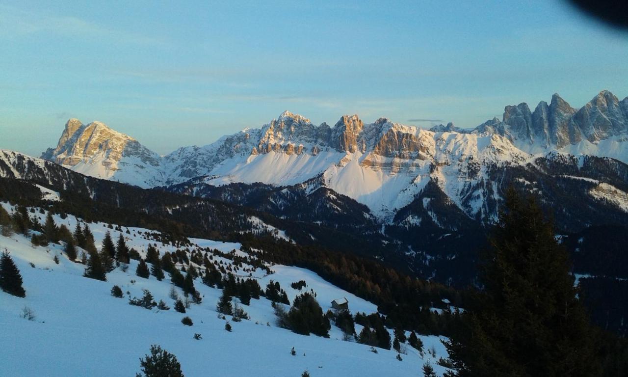 بريسّانوني Mountain Residence Alpenhof - Company Hotel Alpenhof Kg Sas Der Gasser Renate المظهر الخارجي الصورة