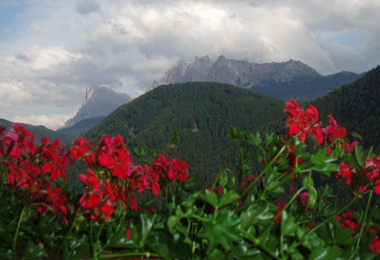 بريسّانوني Mountain Residence Alpenhof - Company Hotel Alpenhof Kg Sas Der Gasser Renate المظهر الخارجي الصورة