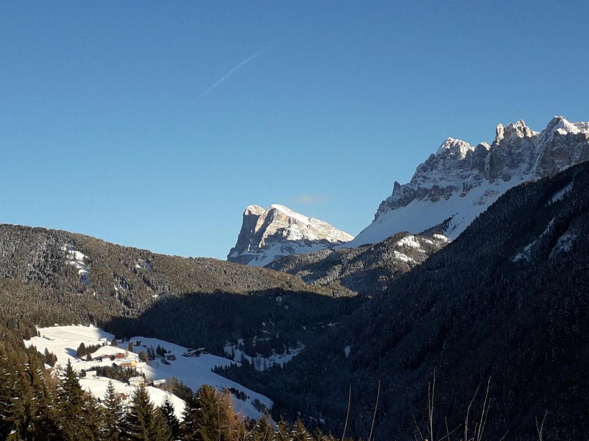 بريسّانوني Mountain Residence Alpenhof - Company Hotel Alpenhof Kg Sas Der Gasser Renate المظهر الخارجي الصورة